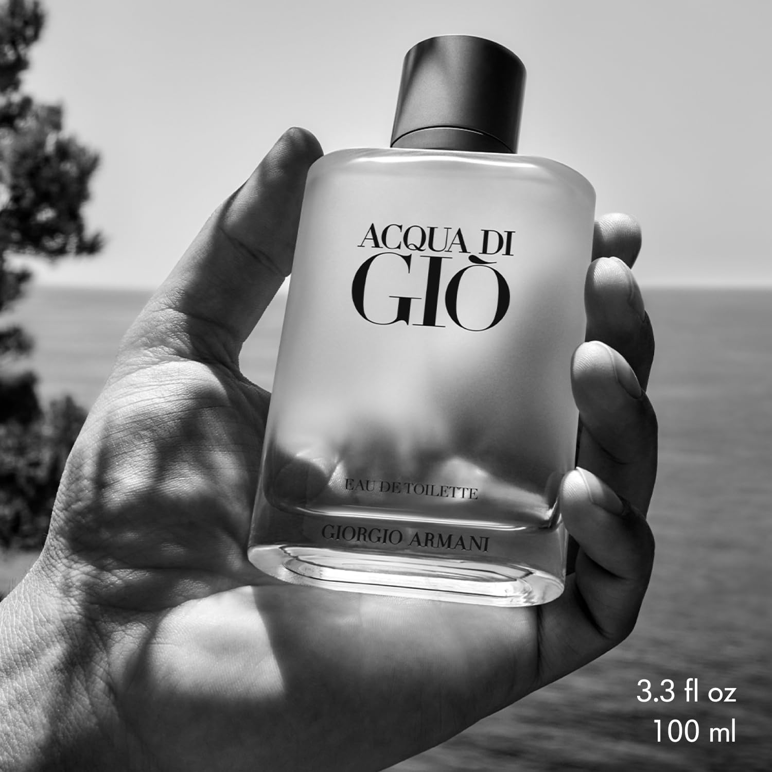 Giorgio Armani Acqua Di Gio Eau de Toilette for Men, 100ml